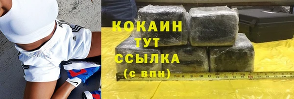 индика Бутурлиновка