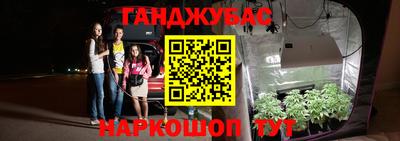 PSILOCYBIN Балахна