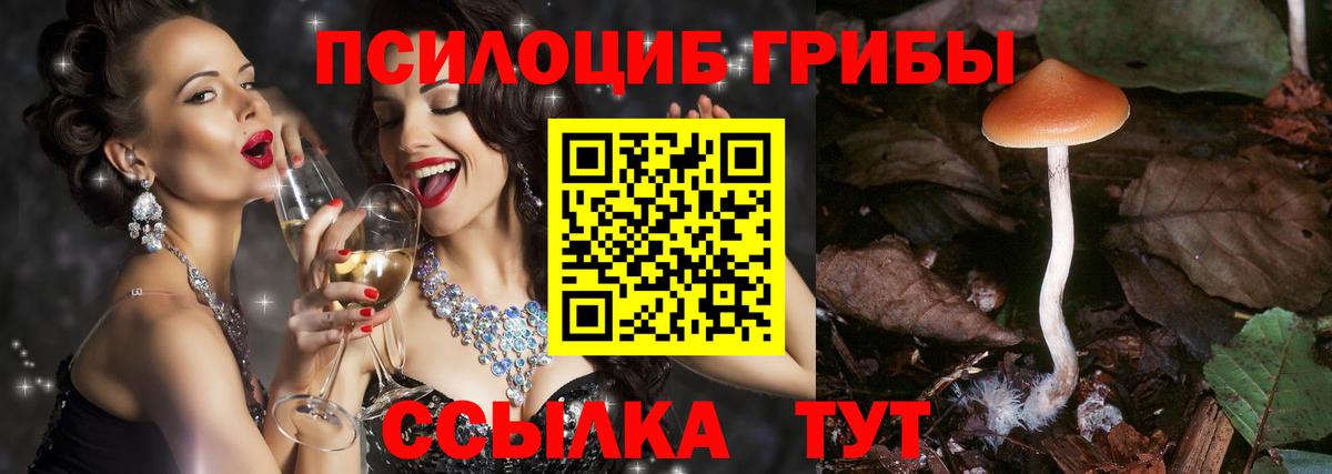 Волжск  Псилоцибиновые грибы мухоморы  Вход с VPN  Псилоцибиновые грибы Cubensis 