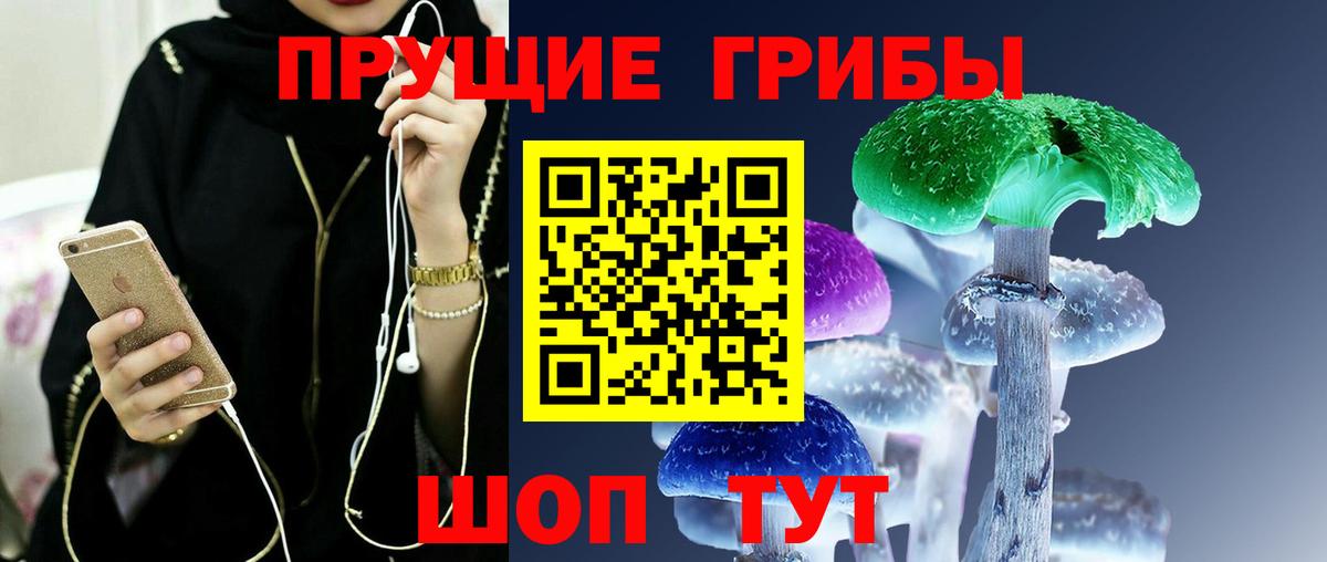 Псилоцибиновые грибы Cubensis  Волжск 