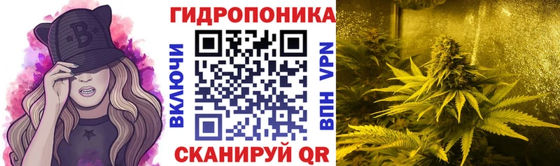 наркотики  Волжск  МАРИХУАНА семена 